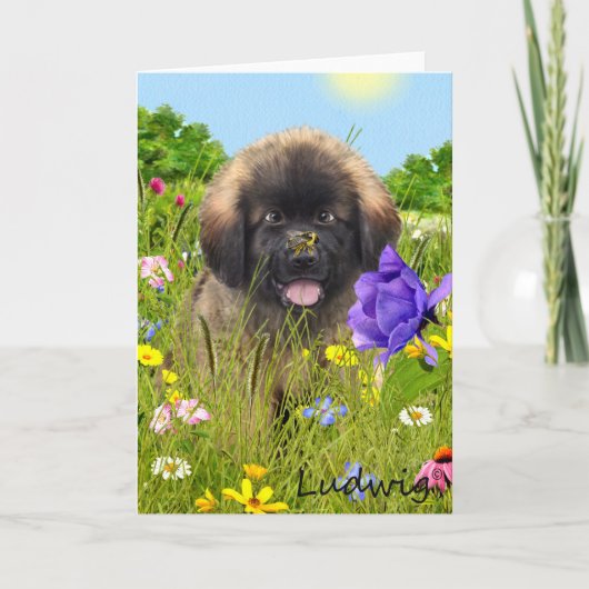 Ludwig het Wenskaart van het Puppy Leonberger Kaart (Voorkant)