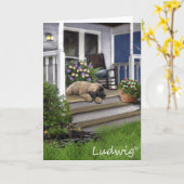 Ludwig het Wenskaart van het Puppy Leonberger Kaart (Gele Bloem)