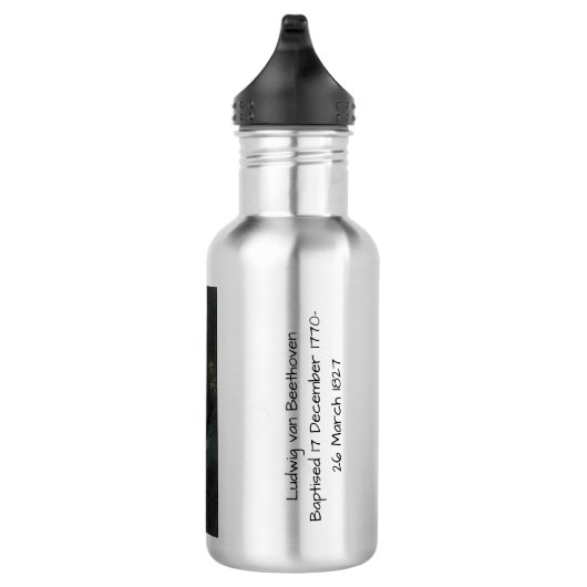 Ludwig van Beethoven, 1820 Waterfles (Rechts)