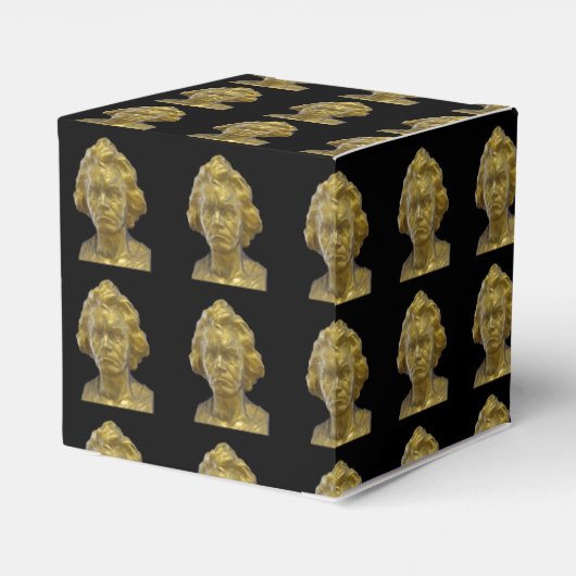 Ludwig Van Beethoven Bedankdoosjes (Achterkant)