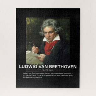Ludwig van Beethoven biografie Legpuzzel