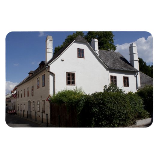 Ludwig van Beethoven House Magneet (Horizontaal)