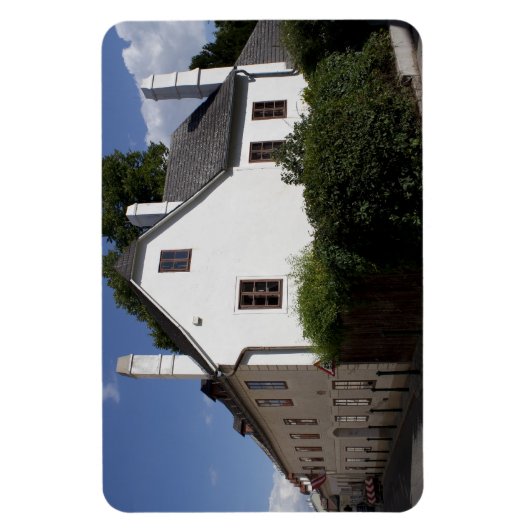 Ludwig van Beethoven House Magneet (Verticaal)