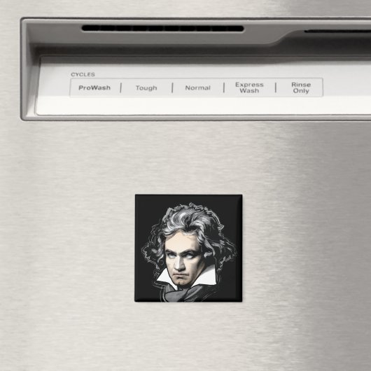 Ludwig van Beethoven Magneet (Insitu (Vaatwasser))