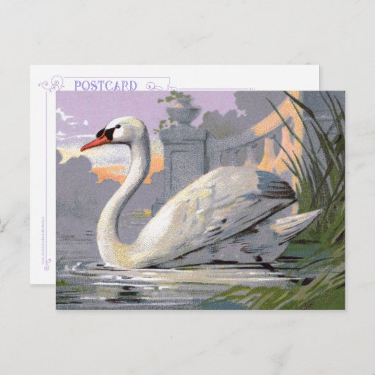 Lugano Swan Briefkaart (Voorkant / Achterkant)