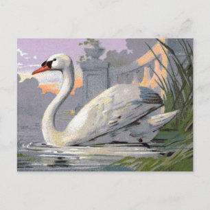 Lugano Swan Briefkaart