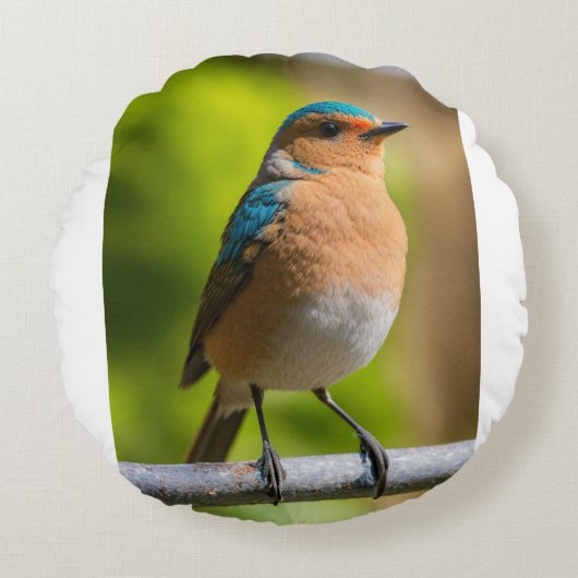 Luh Fit Bird Rond Kussen (Voorkant)