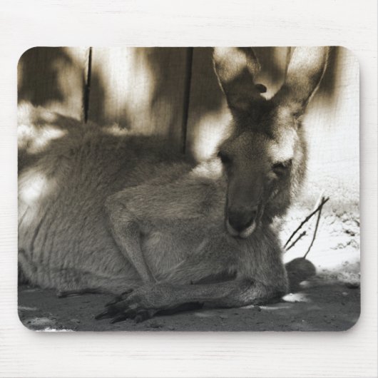 lui kangaroo muismat (Voorkant)