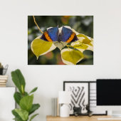 Lui Poster (Thuiskantoor)