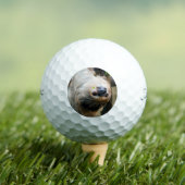 Luiaard 005 golfballen (Insitu Shirt)