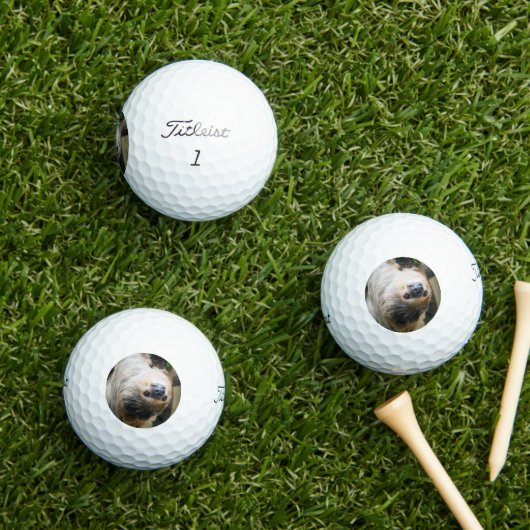 Luiaard 005 golfballen (Insitu Gras)