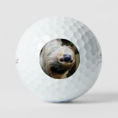 Luiaard 005 golfballen (Voorkant)