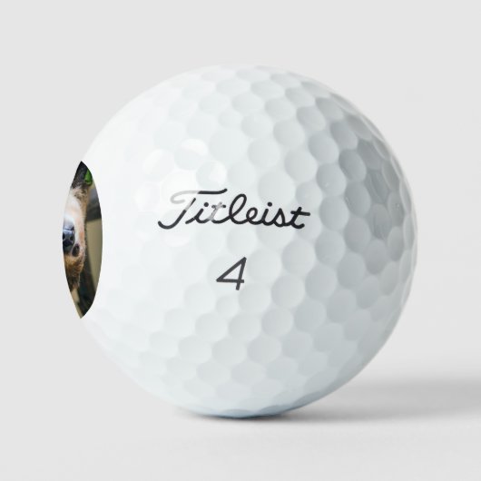 Luiaard 005 golfballen (Logo)