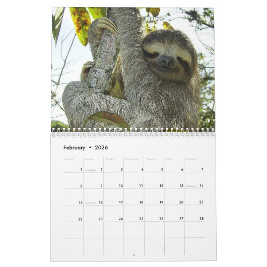 Luiaard 2025 kalender (Feb 2026)