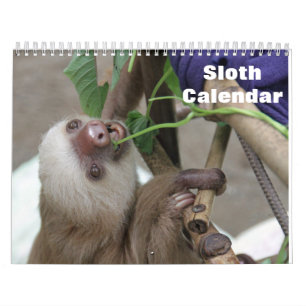 Luiaard 2027 kalender