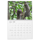 Luiaard 2027 kalender (Mar 2027)