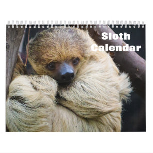 Luiaard 2027 kalender