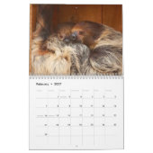 Luiaard 2027 kalender (Feb 2027)