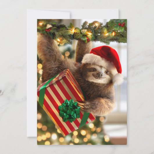 Luiaard die geschenken brengt kaart (Voorkant)