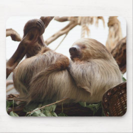 Luiaard dier schattig. muismat