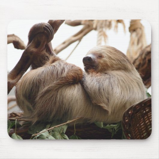 Luiaard dier schattig. muismat (Voorkant)