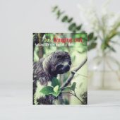Luiaard in boom foto briefkaart (Staand voorkant)