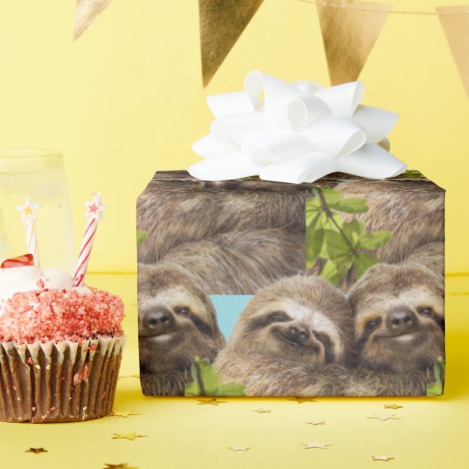 Luiaard Koppel Cadeaupapier (Verjaardagsfeest)