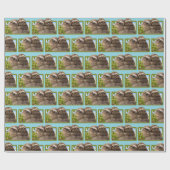 Luiaard Koppel Cadeaupapier (Vlak)