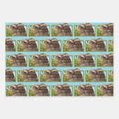 Luiaard Koppel Inpakpapier Vel (Voorkant)