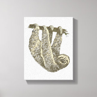 Luiaard op Canvas Afdruk