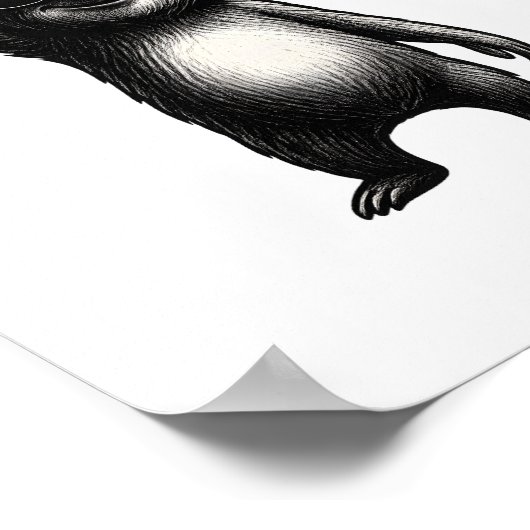 Luiaard Rocking Dance Poster (Hoek)