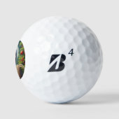 Luiaard Sinterklaas Golfballen (Logo)