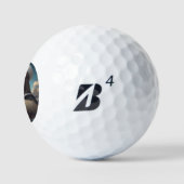 Luiaard Zeiler Golfballen (Logo)