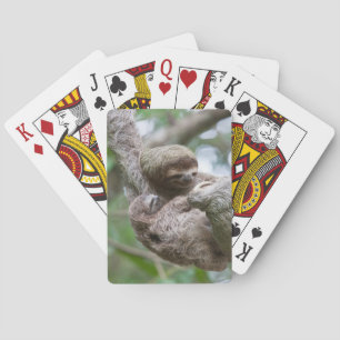 Luiaardbaby met moeder hangend aan een boom pokerkaarten