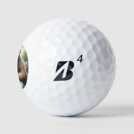luiaarmonteur golfballen (Logo)