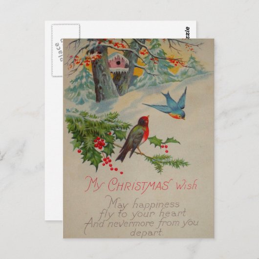  luiblauwe en rode wintervogels briefkaart (Voorkant / Achterkant)
