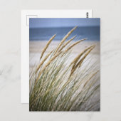 Luie dag op het strand briefkaart (Voorkant / Achterkant)