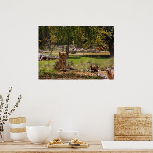 luie dag poster (Keuken)