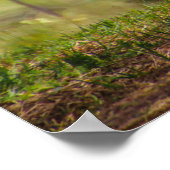 luie dag poster (Hoek)