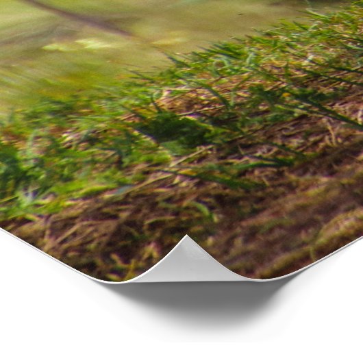 luie dag poster (Hoek)