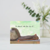 luie eekhoorn briefkaart (Staand voorkant)