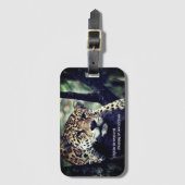 Luie jaguar op boomfoto bagagelabel (Voorkant (verticaal))