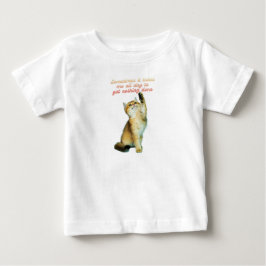 Luie Kat Liefhebber Grappige Mooie Kat