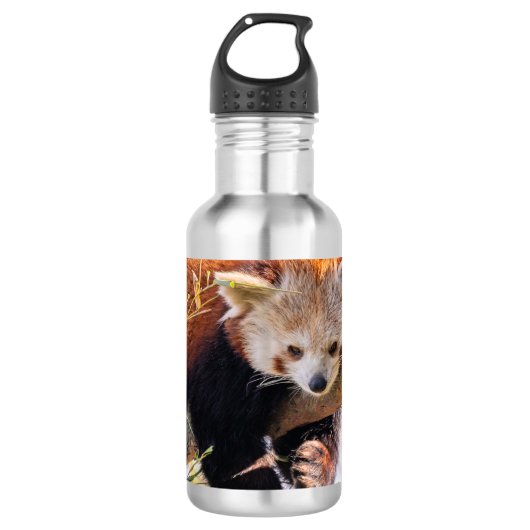 Luie kleine rode panda waterfles (Voorkant)