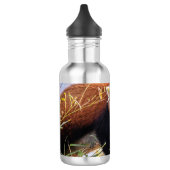 Luie kleine rode panda waterfles (Links)