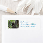 Luie klimboom etiket (Insitu)