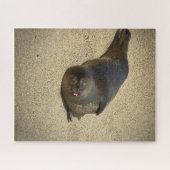 luie zegel legpuzzel (Horizontaal)