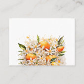 Luier Raffle Sinaasappel Citrus Tangerine Baby sho Informatiekaartje (Achterkant)