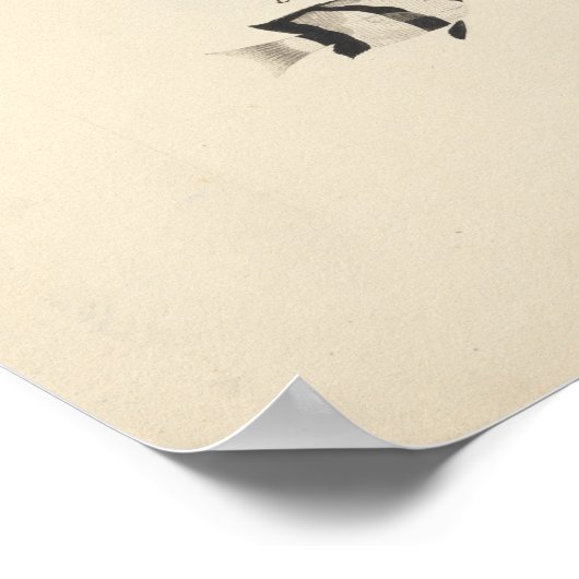 Luigi Balugani - Drie niet-geïdentificeerde vissen Poster (Hoek)