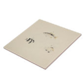 Luigi Balugani - Drie niet-geïdentificeerde vissen Tegeltje (Zijkant)